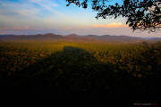 Sri Lanka_S_-420