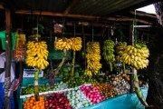 Sri Lanka_S_-444