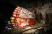 Sri Lanka_S_-456