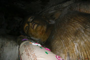 Sri Lanka_S_-458