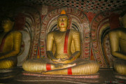 Sri Lanka_S_-467