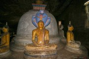 Sri Lanka_S_-472