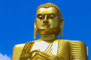 Sri Lanka_S_-516