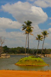 Sri Lanka_S_-517