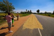 Sri Lanka_S_-55