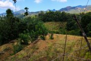 Sri Lanka_S_-555