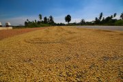 Sri Lanka_S_-56