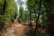 Sri Lanka_S_-562