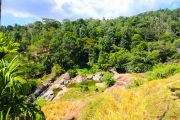Sri Lanka_S_-570