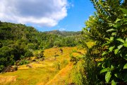 Sri Lanka_S_-574