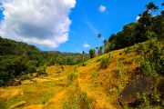 Sri Lanka_S_-575