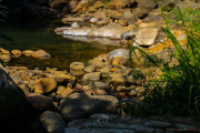Sri Lanka_S_-630