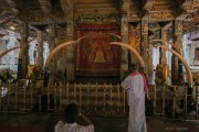 Sri Lanka_S_-641