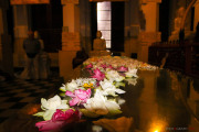 Sri Lanka_S_-646