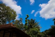 Sri Lanka_S_-665