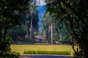 Sri Lanka_S_-732