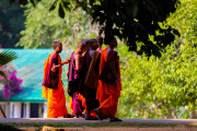 Sri Lanka_S_-752