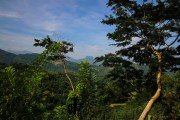 Sri Lanka_S_-768