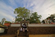 Sri Lanka_S_-94