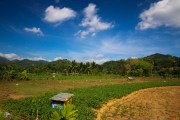Sri Lanka_S_-974