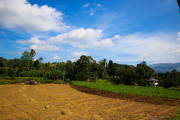 Sri Lanka_S_-975