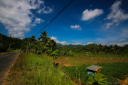 Sri Lanka_S_-976