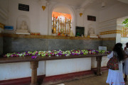 Sri Lanka_S_-98