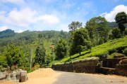 Sri Lanka_S_-991