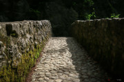 CVO_pont_140601