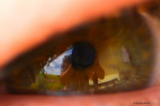 Photographe_a_l_oeil_2015