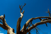 Californie_death valley_5