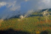 Montagne de Cernier_131109