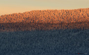 Montagne de Cernier_140119