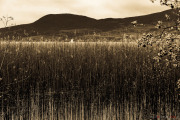 Chevroux_reflets_2015