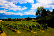 Morges_150620-10