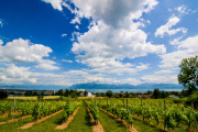 Morges_150620-11