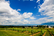 Morges_150620-12