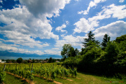 Morges_150620-13