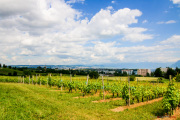 Morges_150620-14