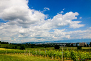 Morges_150620-15