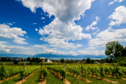 Morges_150620-16
