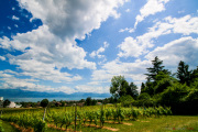 Morges_150620-17