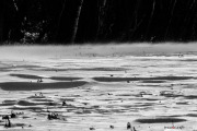 Ursins_2_150208-11