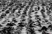 Ursins_3_150208-11